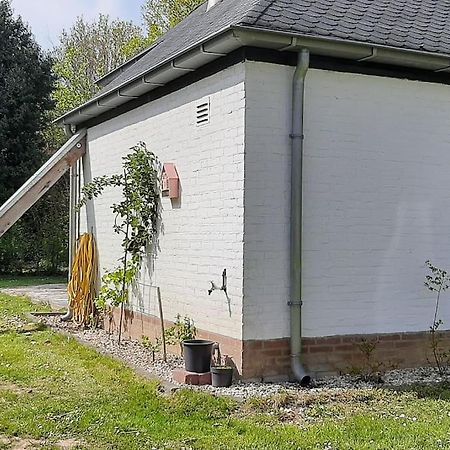 Vrijstaande Recreatievilla Met Ruime Omheinde Tuin Posterholt Екстериор снимка